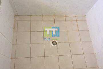 stop leaking shower tiles sydney - before photo