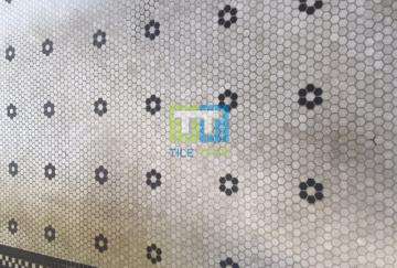 tile grout cleaning service sydney - before photo