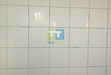 Epoxy Grout Bathroom – Tile Tech Solutions