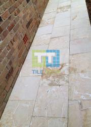 mould moss treatment company sydney after photo