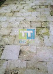 limestone tile cleaning service sydney before photo