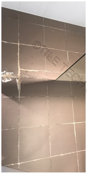 bathroom efflorescence treatment double bay - before and after photos